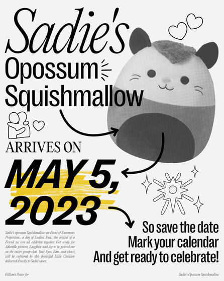 Sadie's Opossum Squishmallow